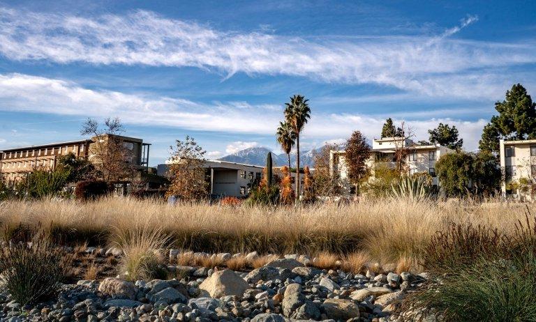 a view of the landscape of holden gardn with the gold student center in the background